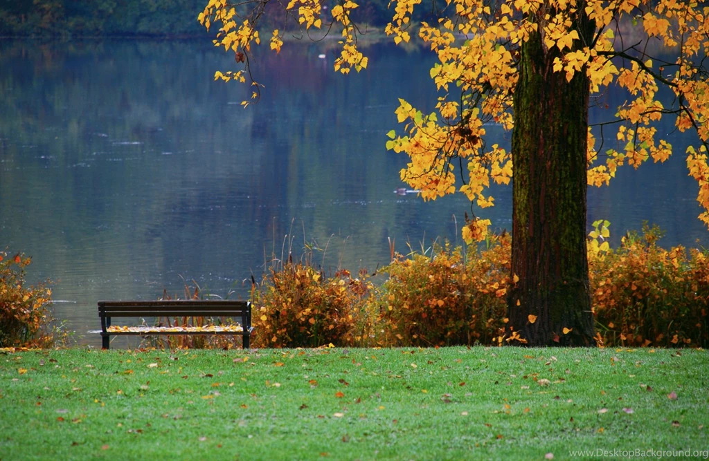 Autumn Leaves Desktop Wallpapers