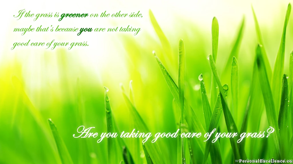 Wallpaper grass c.jpg