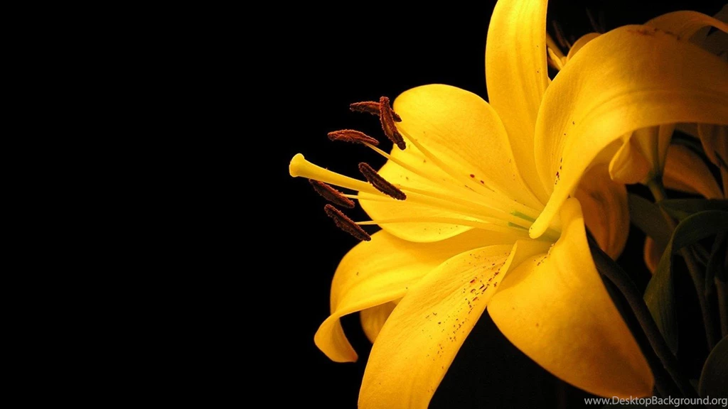 Beautiful Wallpapers For Mobiles   HD Wallpapers And Pictures