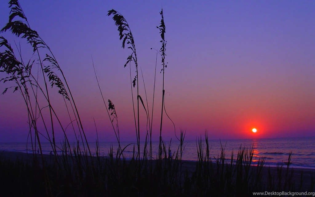 South Carolina Wallpapers 217207
