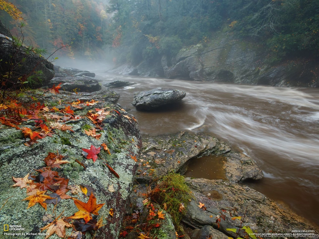 Photography Desktop Wallpapers National Geographic Magazine