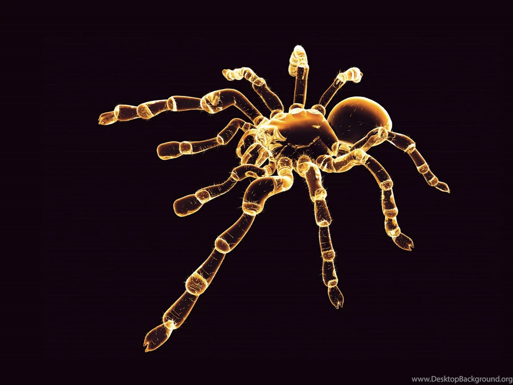Neon Spider Wallpapers And Images Wallpapers, Pictures, Photos
