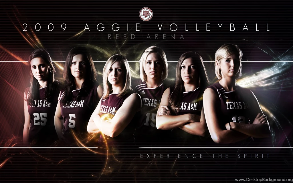 Volleyball Wallpapers 138832