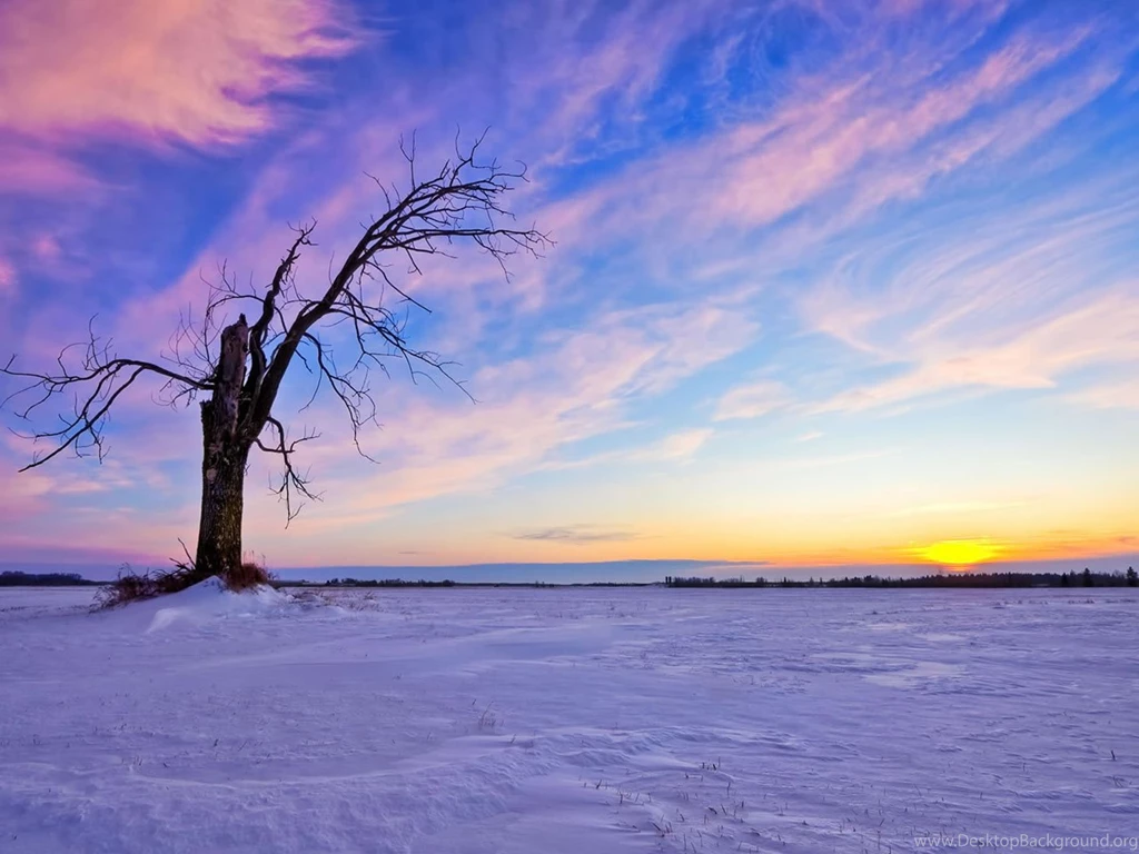 Hd backgrounds winter.jpg
