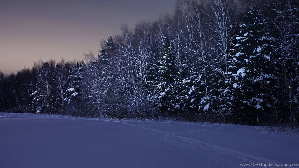 Winter Night Wallpapers Desktop Backgrounds