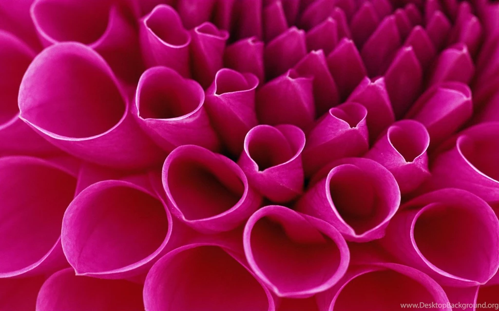 Animated_wallpapers_for_mobile_phones_free_download 3.jpg