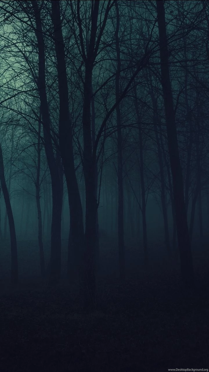 720x1280   Dark/Forest   Wallpapers ID: 297370