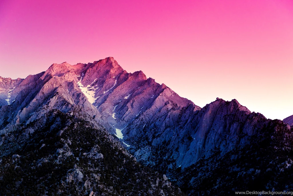 Android L Wallpapers Lollipop 5 (8) Shy Android