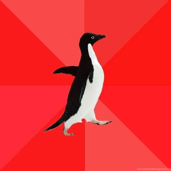 Socially Awkward Penguin