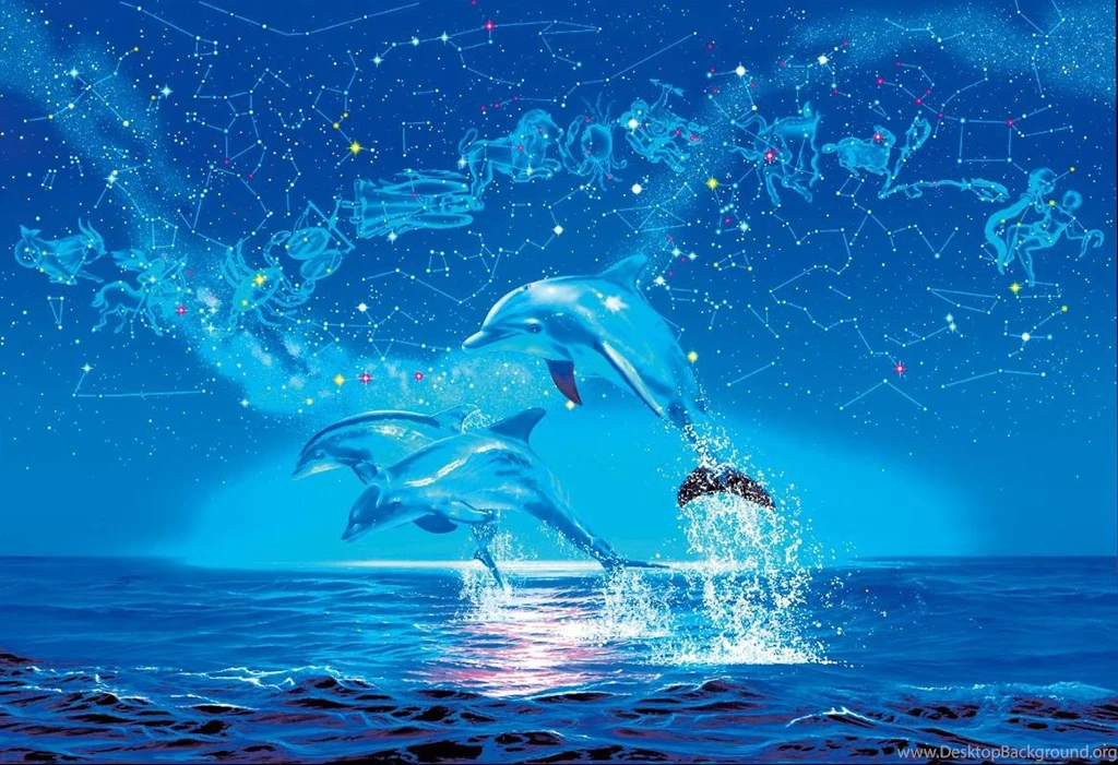 Dolphin S Year (