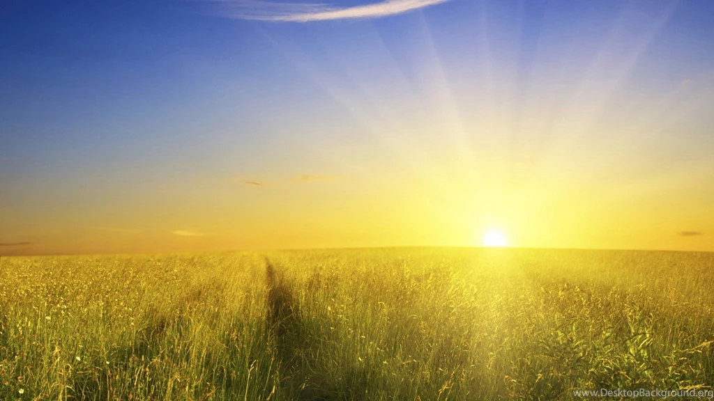 Morning Sunlight Wallpapers Wallpaper.