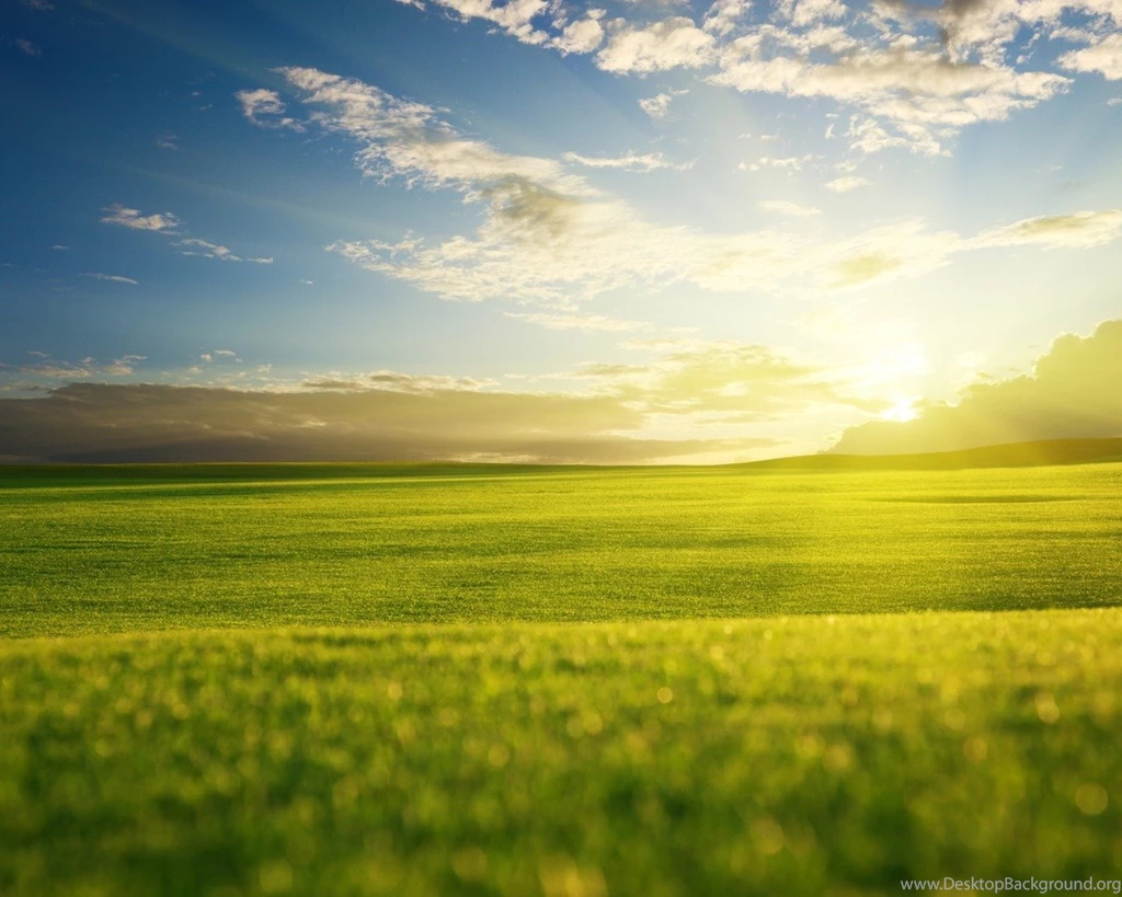 Beautiful Bliss 1280 X 1024 Wallpapers