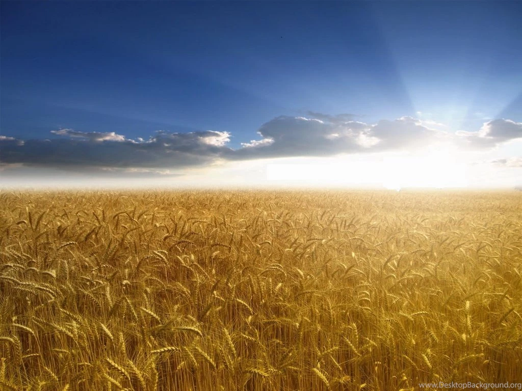 1024x768 Sunlight Desktop Wallpapers.jpg