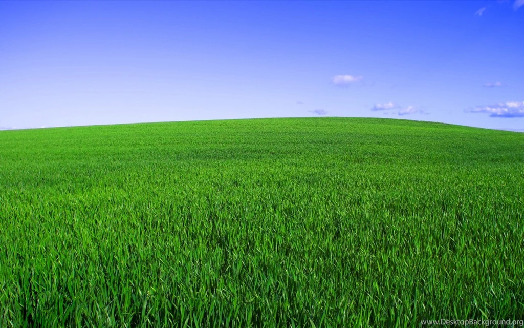 The New Bliss Wallpapers 1440x900 IWallHD Wallpapers HD