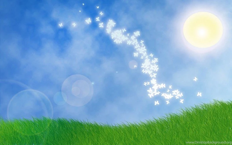 Glowing Butterflies In The Sunlight Free Desktop Backgrounds And ...