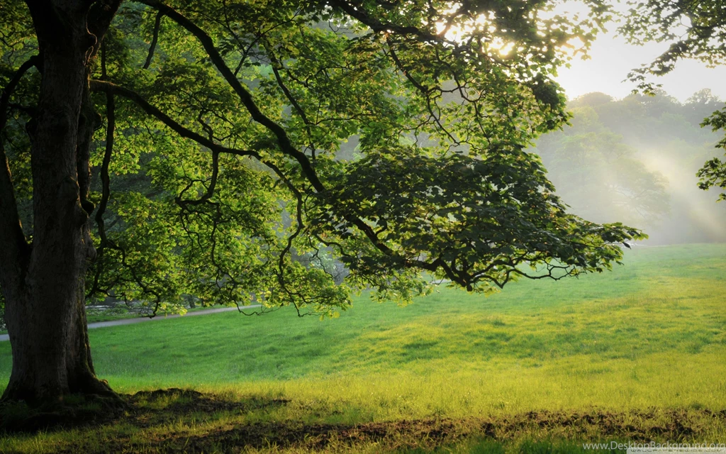 Nature Archives Page 7 Of 20 Free Wallpapers Full Hd 1080p ...