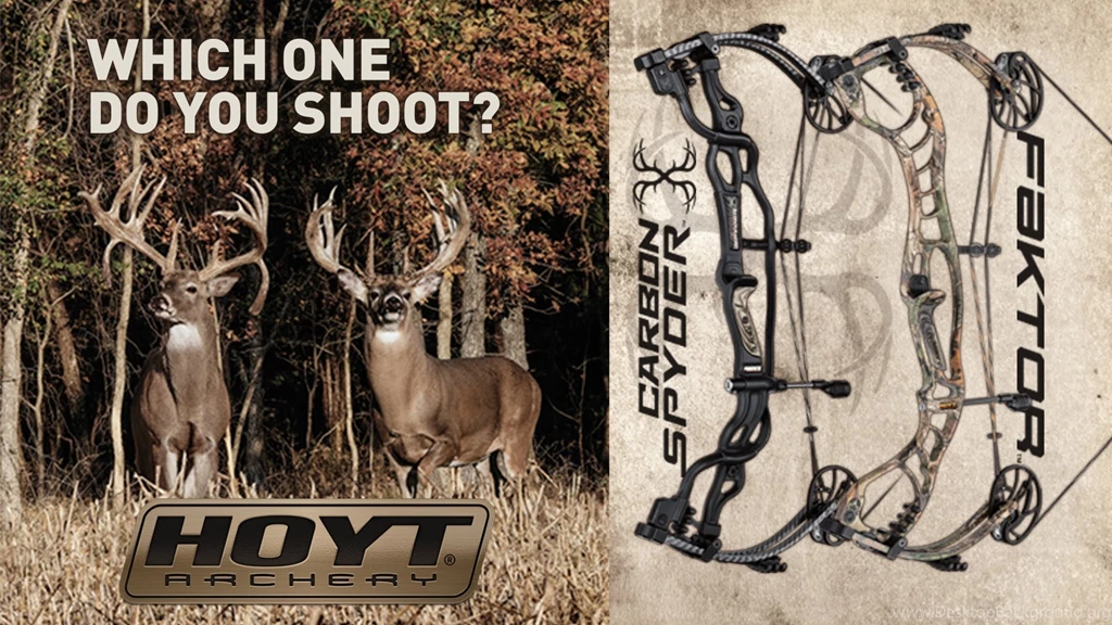 Hoyt Archery   WHICH ONE DO YOU SHOOT?   YouTube