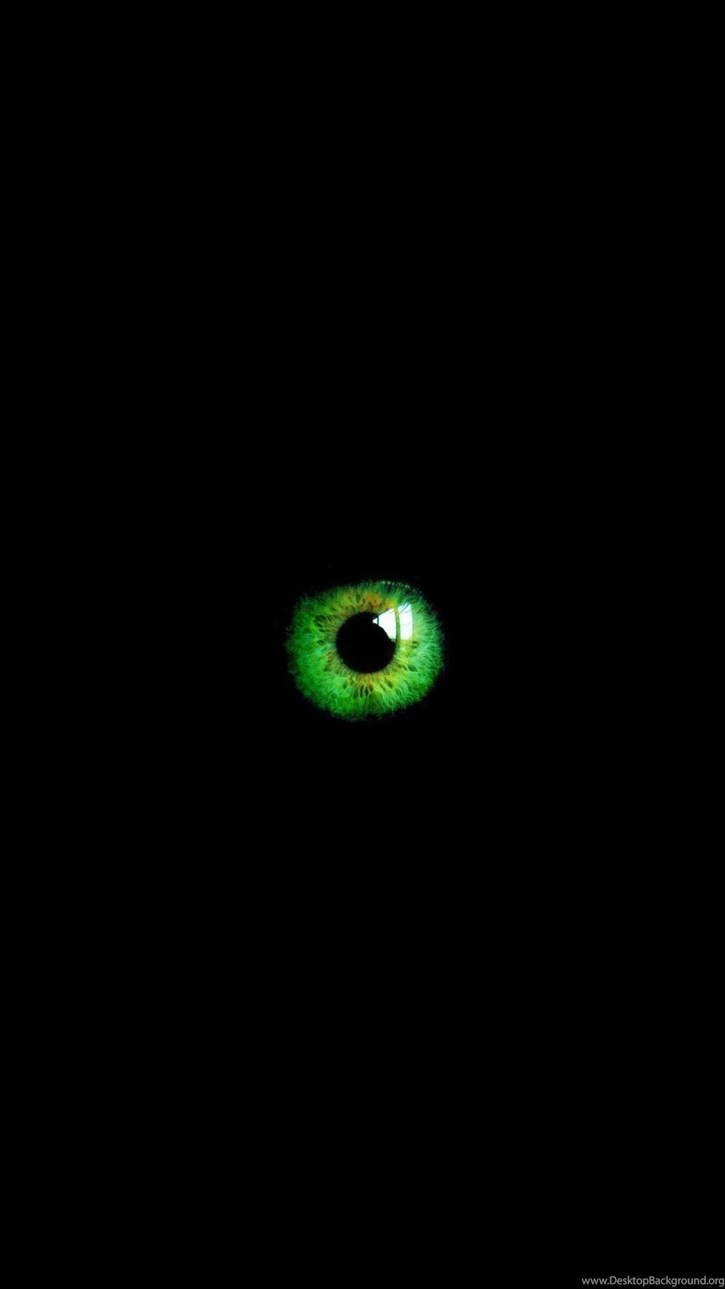 Wallpaper For Mobile Black And Green