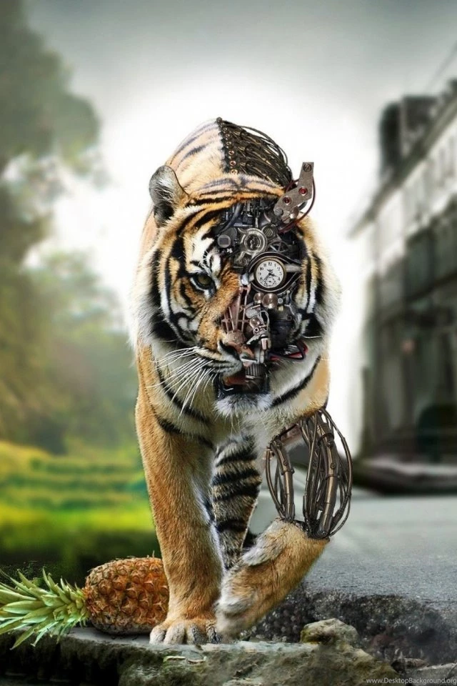 Tigers Digital Art Mobile Wallpapers Mobiles Wall