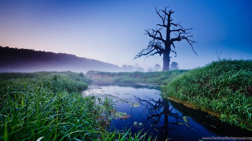 1366x768 Old Oak Desktop PC And Mac Wallpapers
