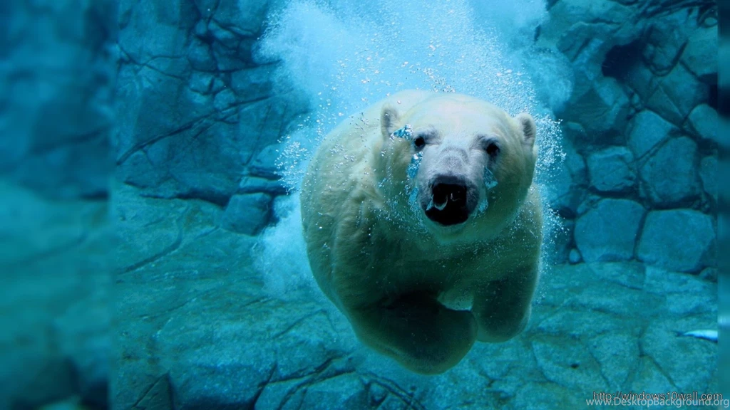 Water Wallpaper Backgrounds For Desktop – Windows 10 Wallpapers