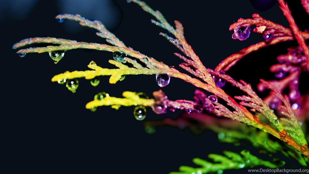 Water Drop Computer Wallpapers, Desktop Backgrounds