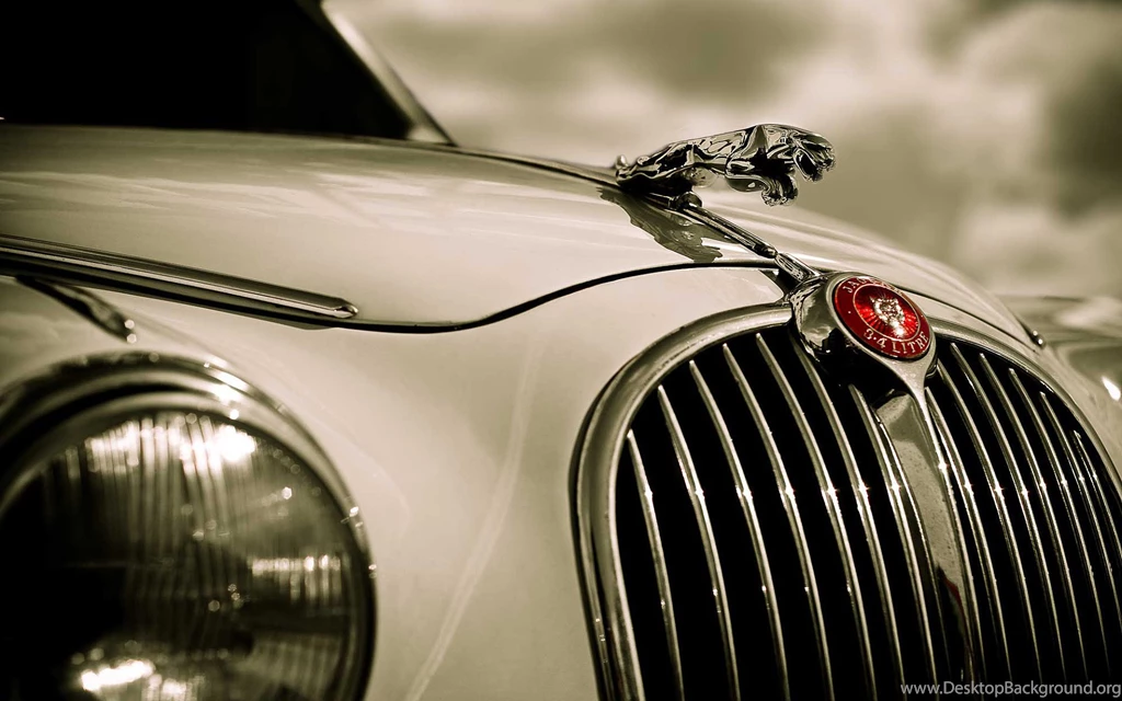 Jaguar Logo Wallpaper HD 0.jpg