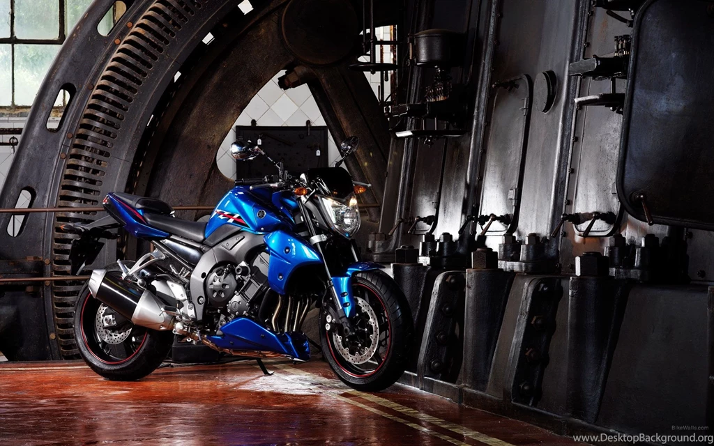 Motor: Yamaha Fz, Picture Nr. 57449