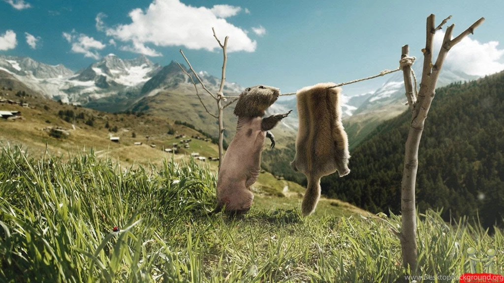 PAK World FUN: Fresh Live Turtle Burger Wallpaper&Very Funny Hung ...