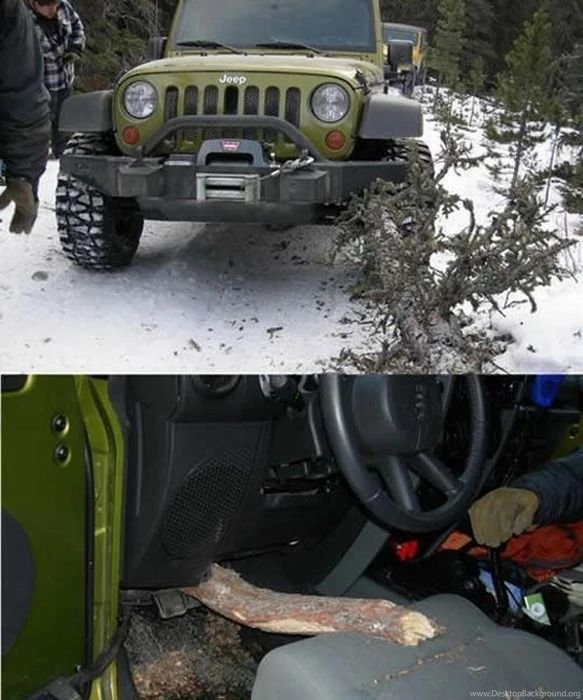 Dangerous Accident. Worlds Funniest Wallpapers. Worlds Funniest ...