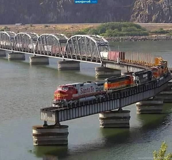 Wallpaper: Best Funny Picture