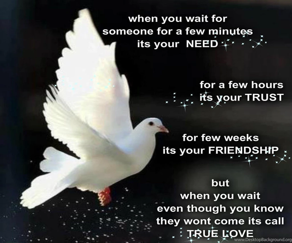 TRUE LOVE WALLPAPER (