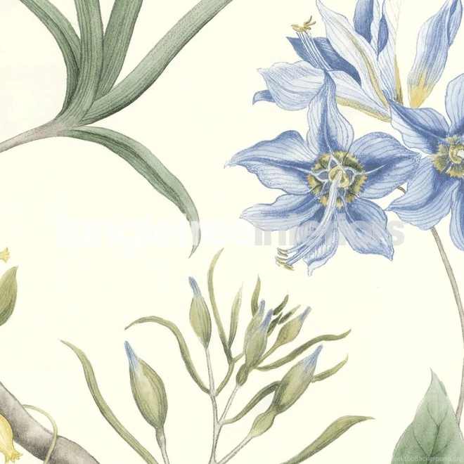 Clementine Wallpapers From Sanderson 213389 Delft Blue