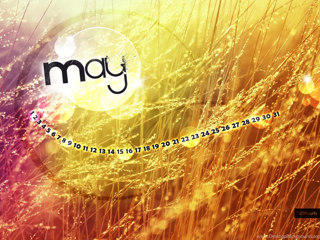 Wallpapers May 2010 Design.axenis.net