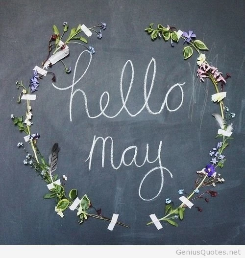 Hello May Card Free Download For Wallpapers