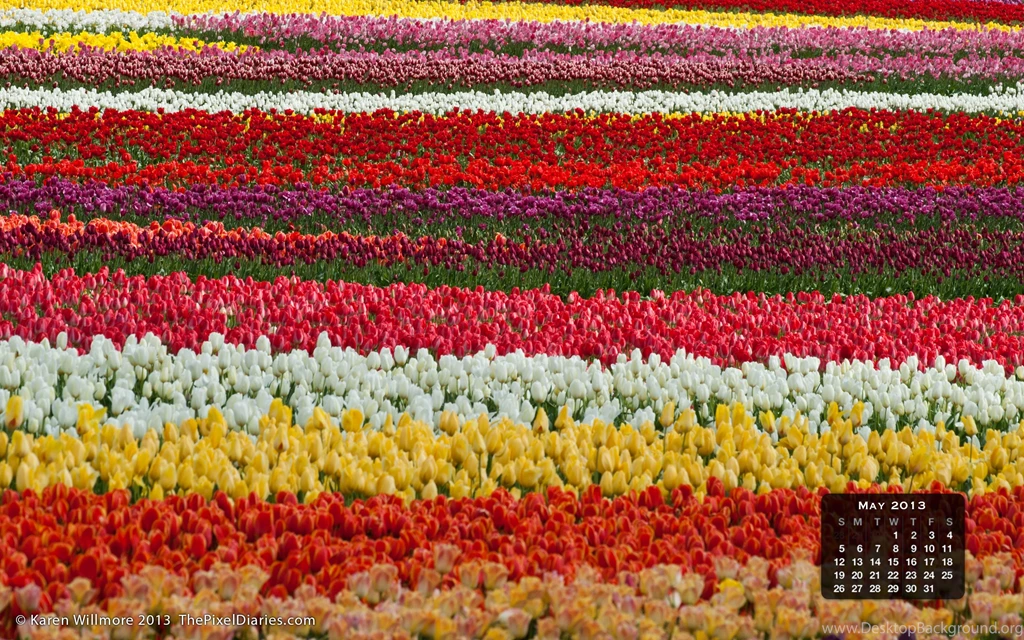 Free Desktop Calendar Wallpapers For May