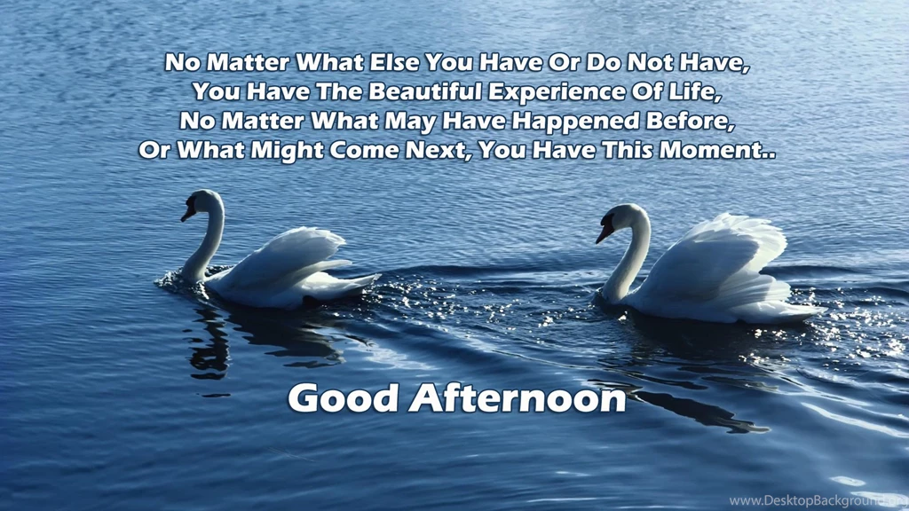 Good Afternoon Scraps, Pictures, Images, Graphics For Myspace ...