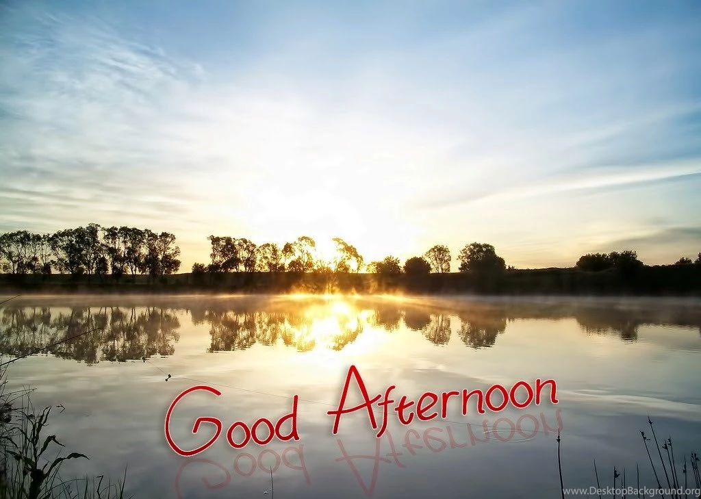 Good Afternoon Beautiful Bing Images