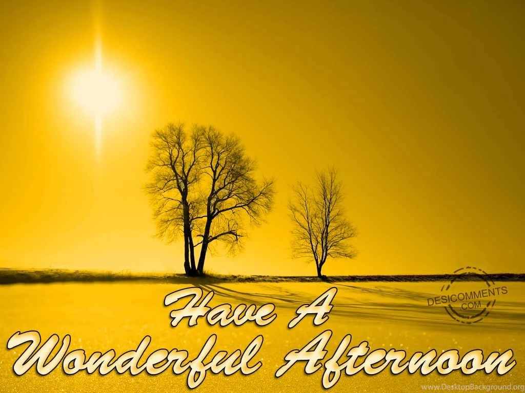 Have A Wonderful Afternoon DesiComments.com