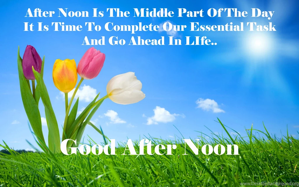 Good After Noon Nature Hd Desktop Wallpapers