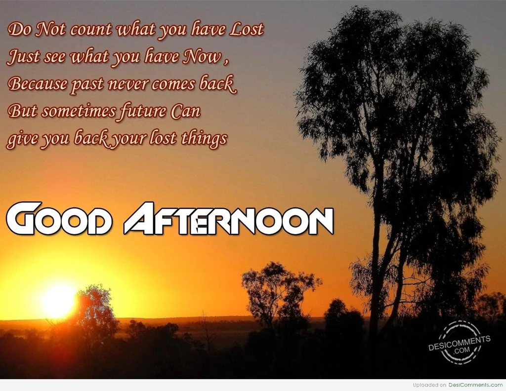 Good Afternoon Pictures, Images, Graphics For Facebook, Whatsapp ...