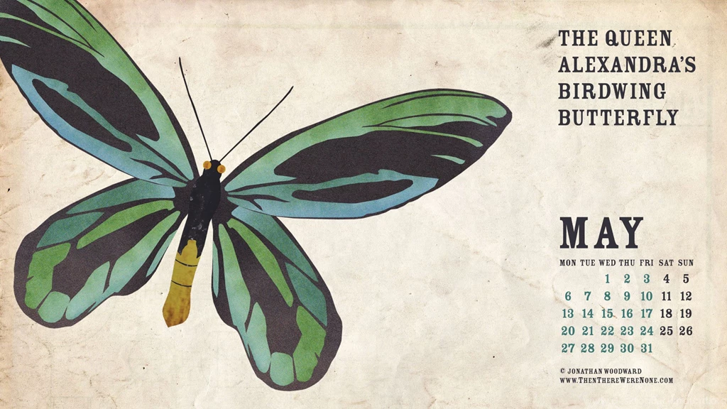 May 2013 Desktop Wallpapers