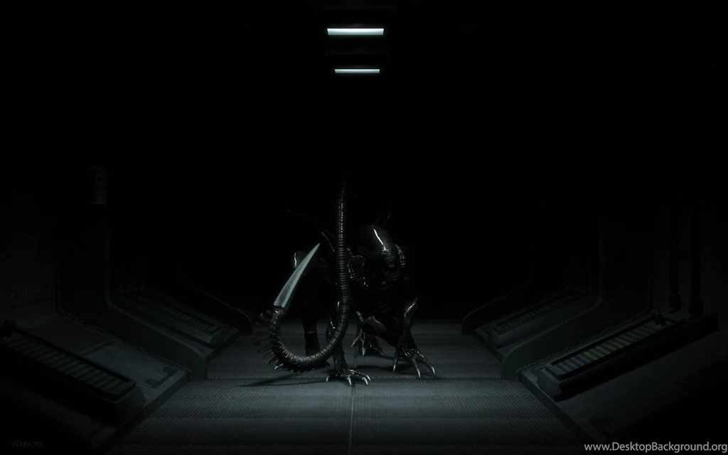 Alien Wallpapers 384 Xe   WallpaperXe.com