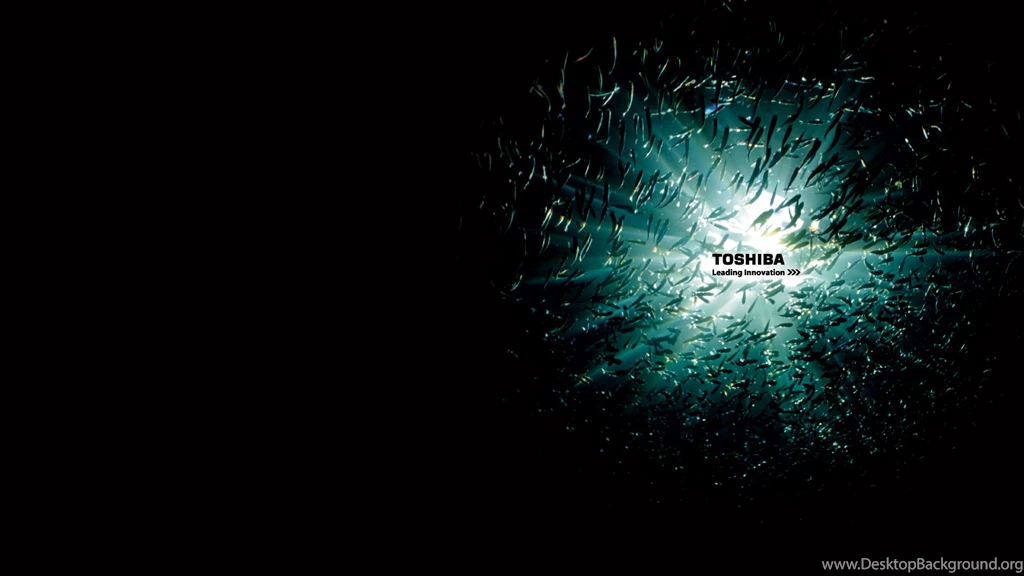 Toshiba Wallpapers