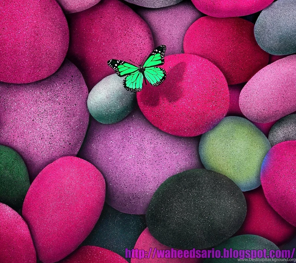 HD SonGs (Sario): ZedGe Wallpapers