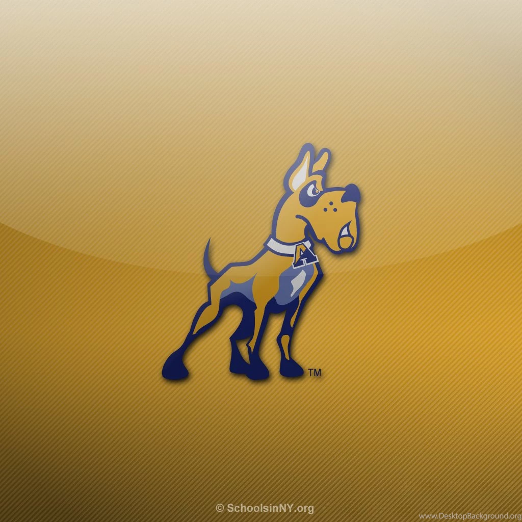 Albany Wallpapers   Wallpapers HD Base