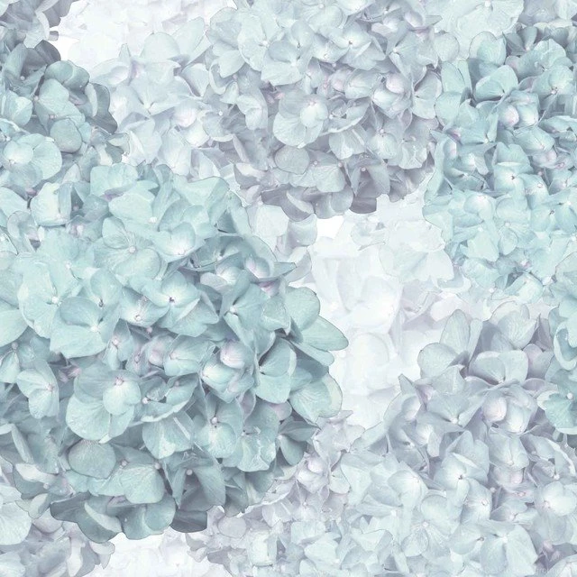 Hydrangea Wallpapers In Teal By Brett Design Contemporary ...