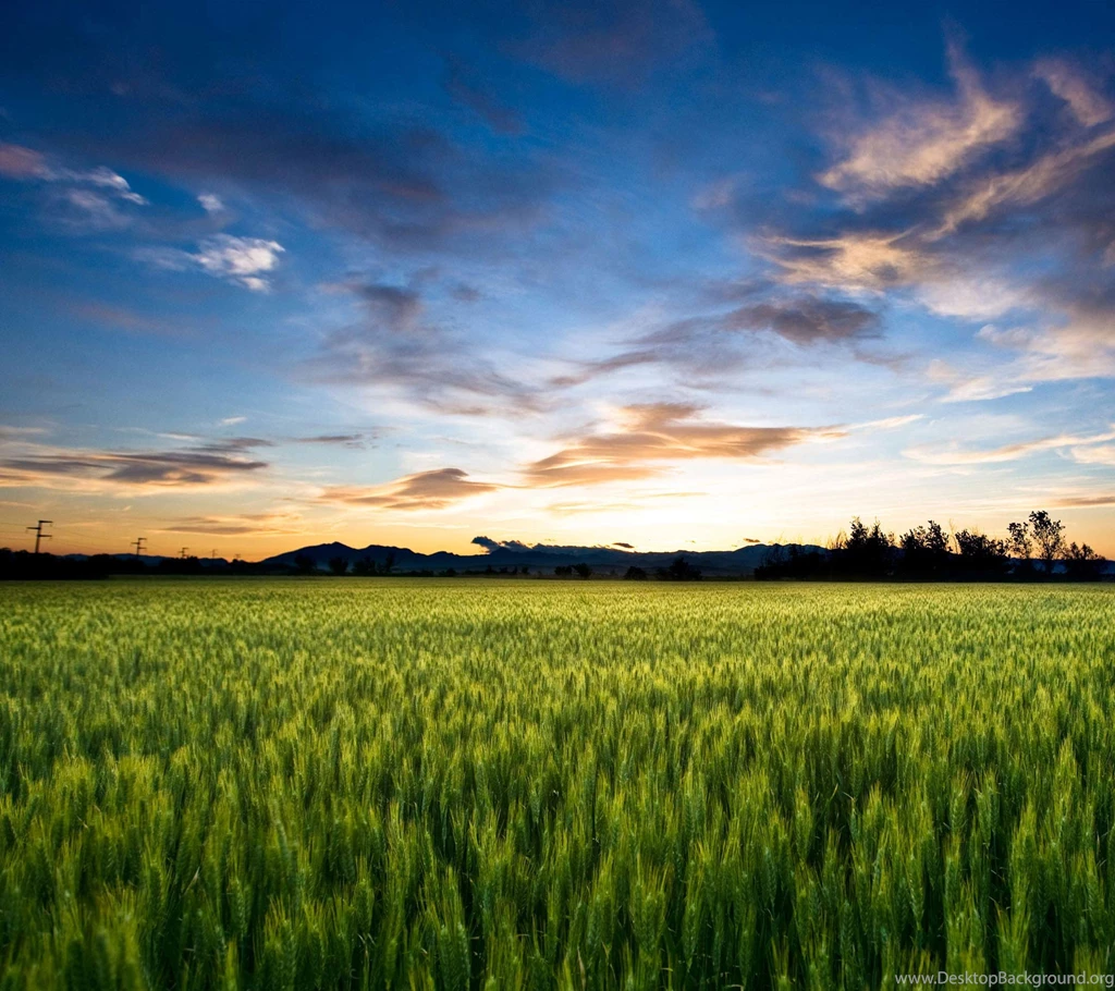 Download: 35 Great Wallpapers From The Sony Xperia Z3