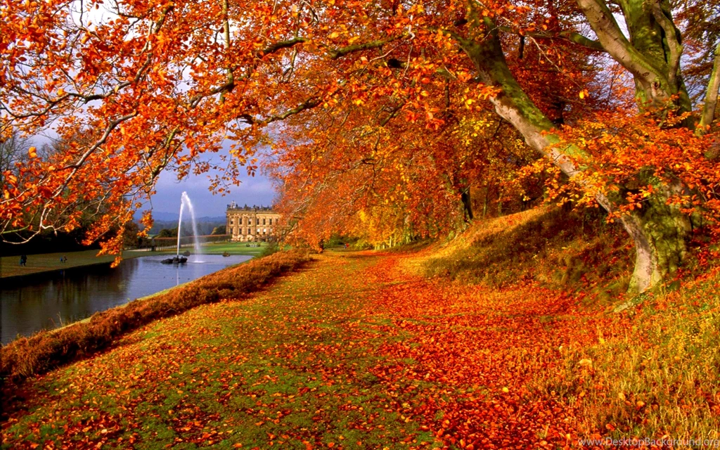 Free Fall Wallpapers Wallupor