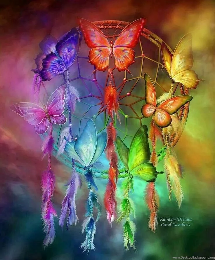 Rainbow Butterfly Dreamcatcher
